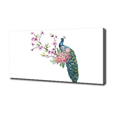 Fotobild Pfau und Blumen