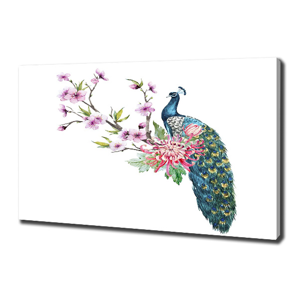 Fotobild Pfau und Blumen