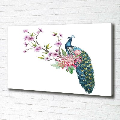 Fotobild Pfau und Blumen