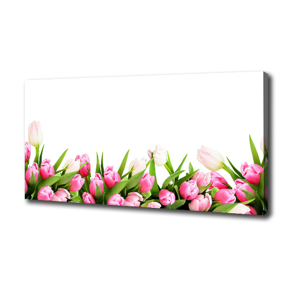 Wandbild Rosa Tulpen