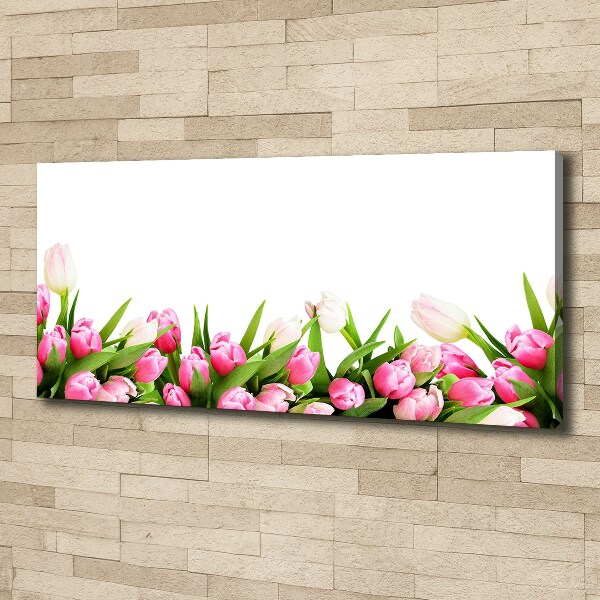 Wandbild Rosa Tulpen