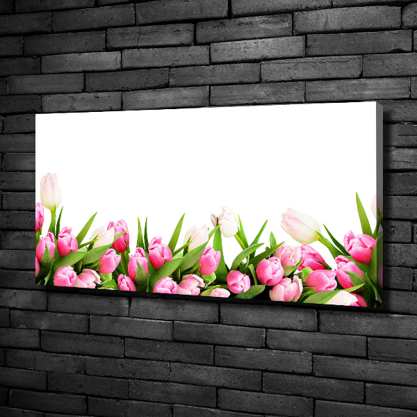 Wandbild Rosa Tulpen