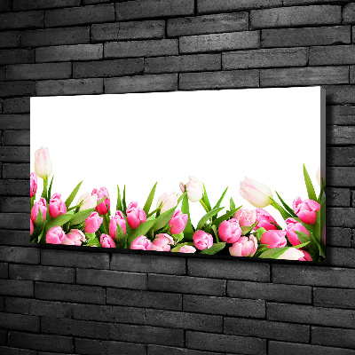 Wandbild Rosa Tulpen
