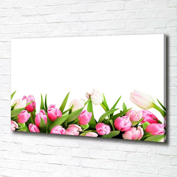 Wandbild Rosa Tulpen