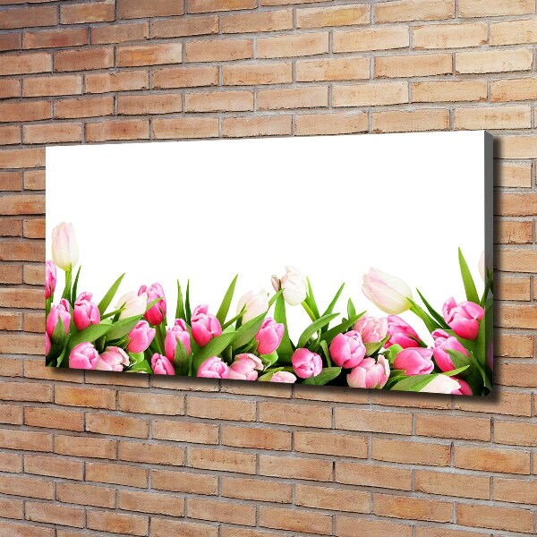 Wandbild Rosa Tulpen