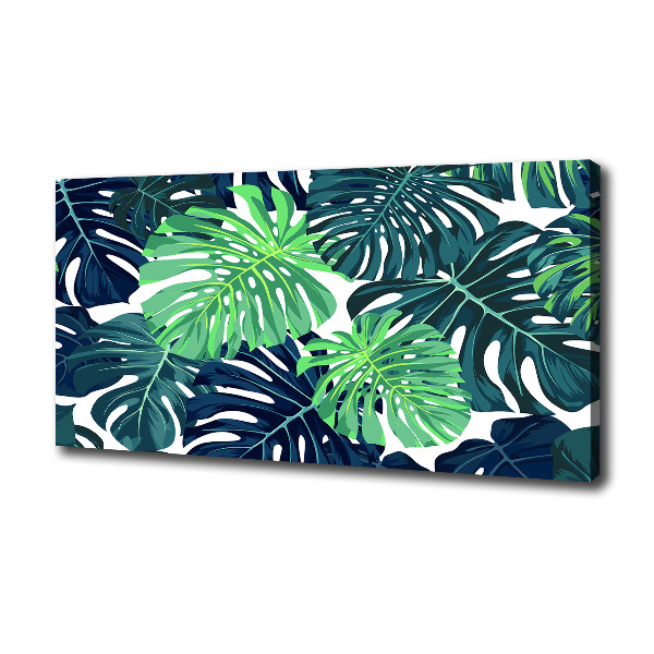 Fotobild Tropische Blätter