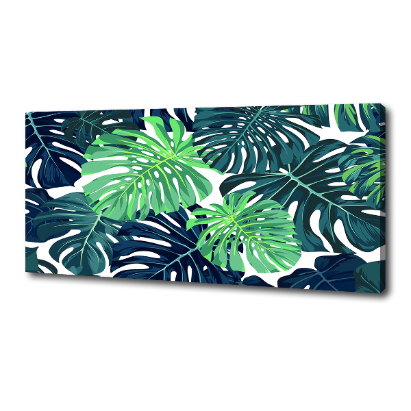 Fotobild Tropische Blätter