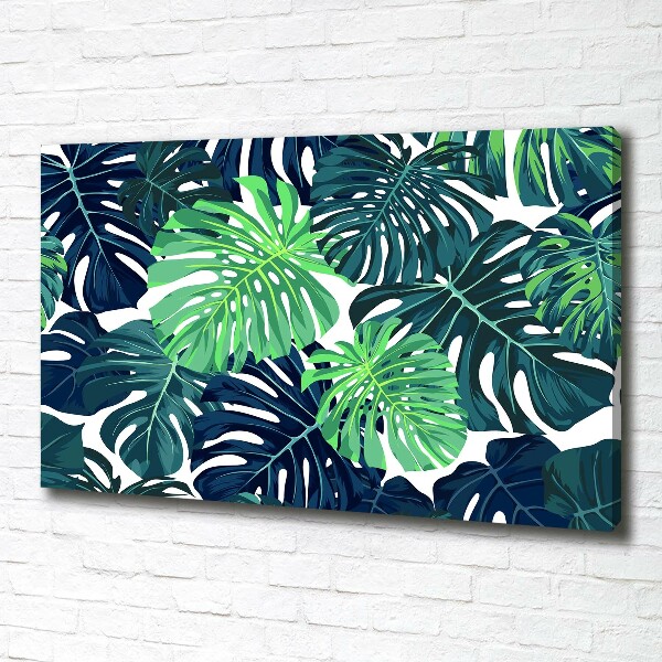 Fotobild Tropische Blätter