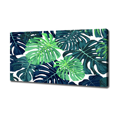 Fotobild Tropische Blätter