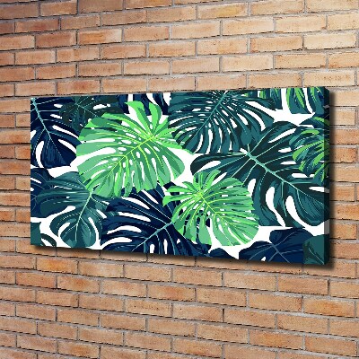 Fotobild Tropische Blätter