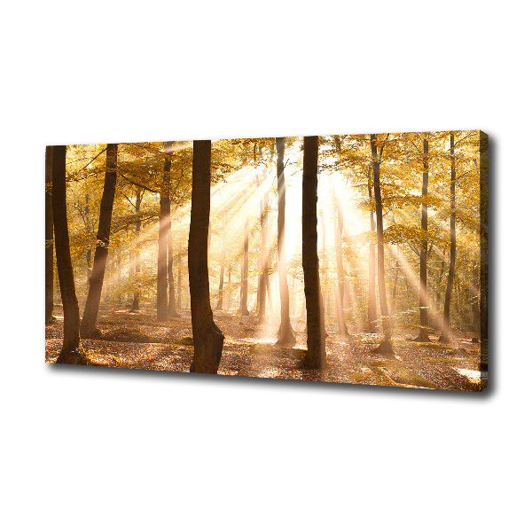 Bild auf leinwand Wald im Herbst