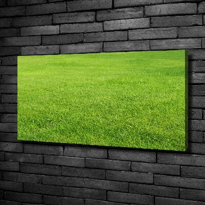 Wandbild Grünes Gras