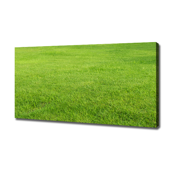 Wandbild Grünes Gras