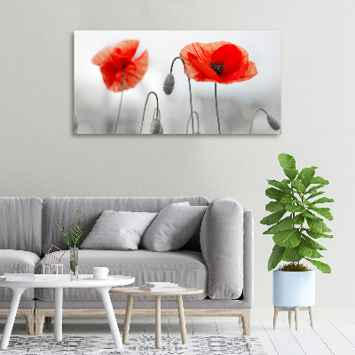 Wandbild Mohnblumen