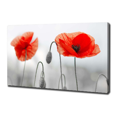 Wandbild Mohnblumen