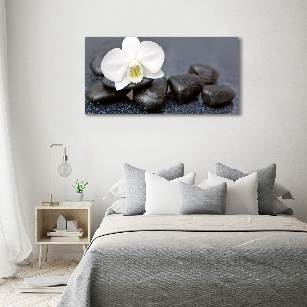 Fotobild Orchidee