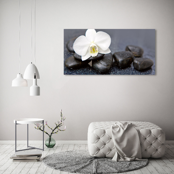 Fotobild Orchidee