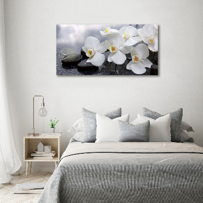 Fotobild Orchidee