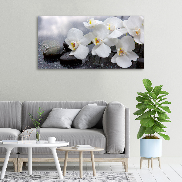 Fotobild Orchidee