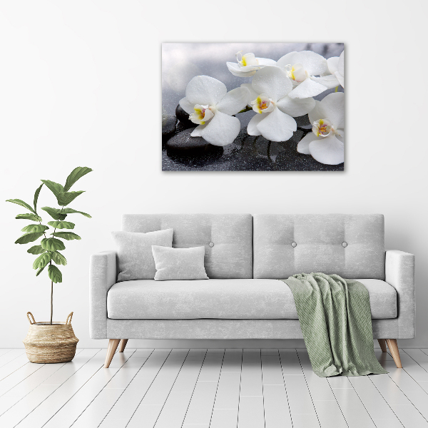 Fotobild Orchidee