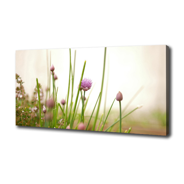 Bild auf leinwand Schnittlauch