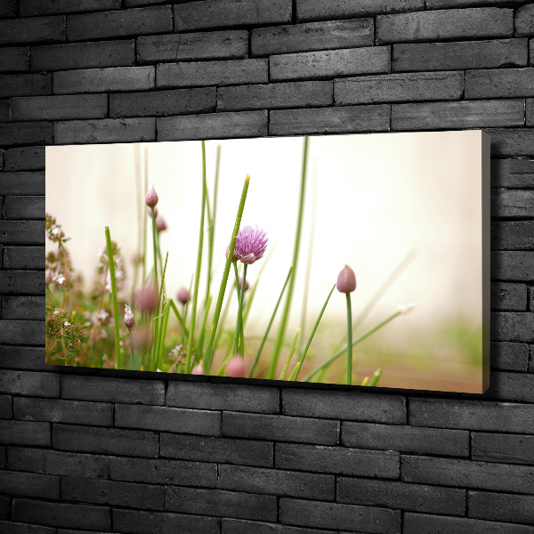 Bild auf leinwand Schnittlauch