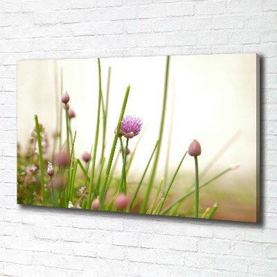 Bild auf leinwand Schnittlauch