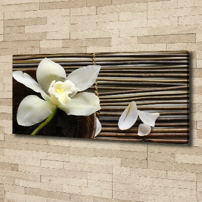 Wandbild Orchidee