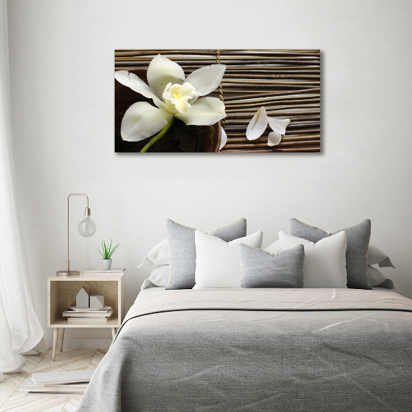 Wandbild Orchidee