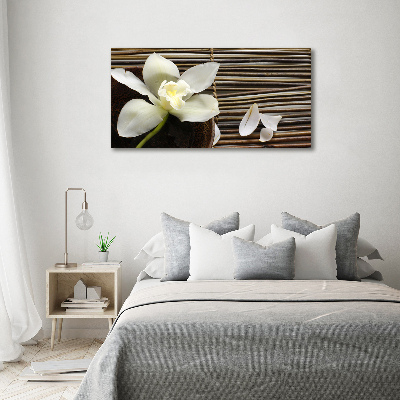Wandbild Orchidee