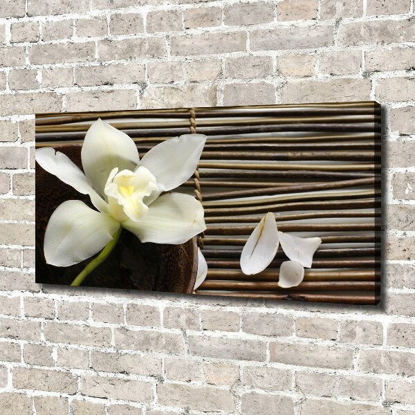 Wandbild Orchidee