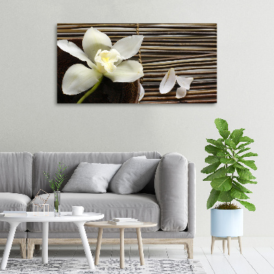 Wandbild Orchidee