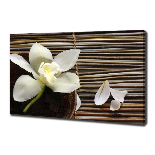 Wandbild Orchidee