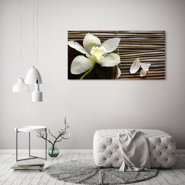 Wandbild Orchidee