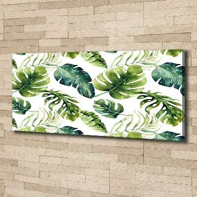 Fotobild Tropische Blätter