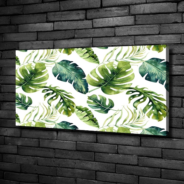 Fotobild Tropische Blätter