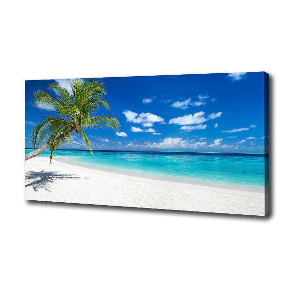 Wandbild Tropischer Strand