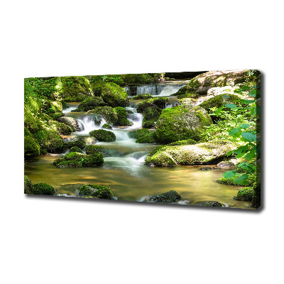 Wandbild Wasserfall