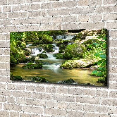 Wandbild Wasserfall