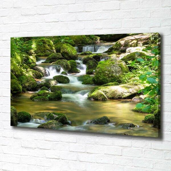 Wandbild Wasserfall