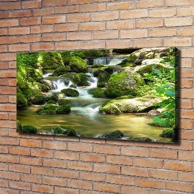 Wandbild Wasserfall