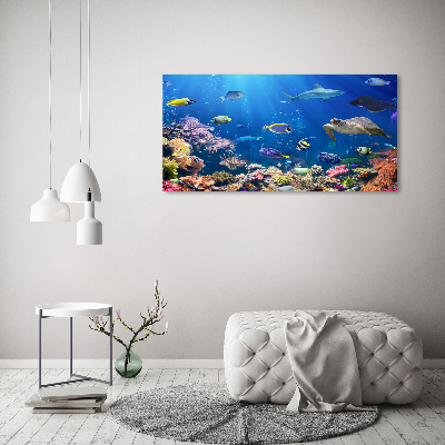 Wandbild Korallenriff