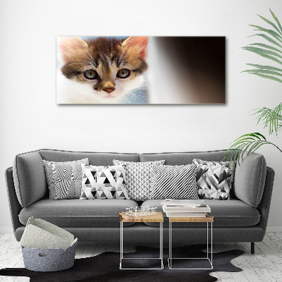 Bild auf leinwand Kleine Katze
