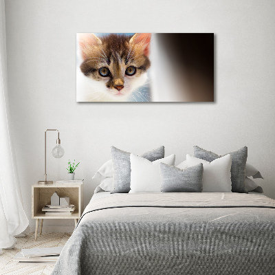 Bild auf leinwand Kleine Katze