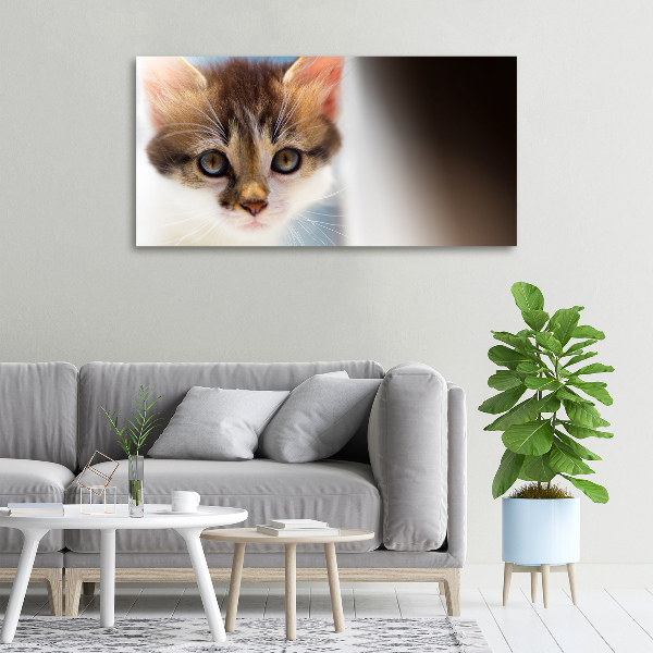 Bild auf leinwand Kleine Katze