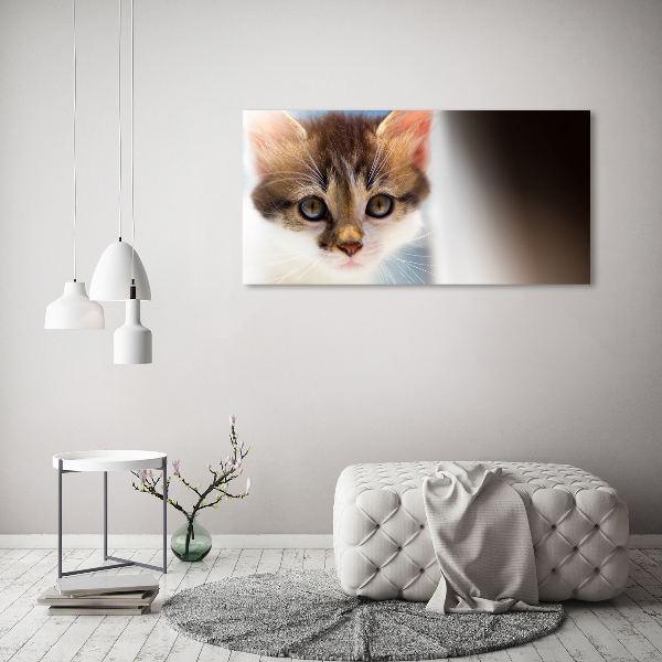 Bild auf leinwand Kleine Katze