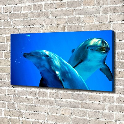 Wandbild Zwei Delfine