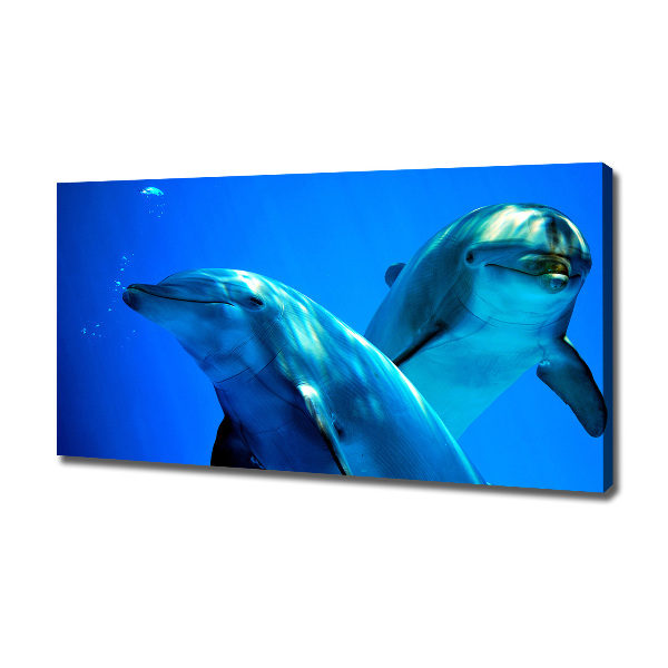 Wandbild Zwei Delfine