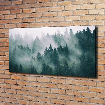 Wandbild Nebel über dem Wald