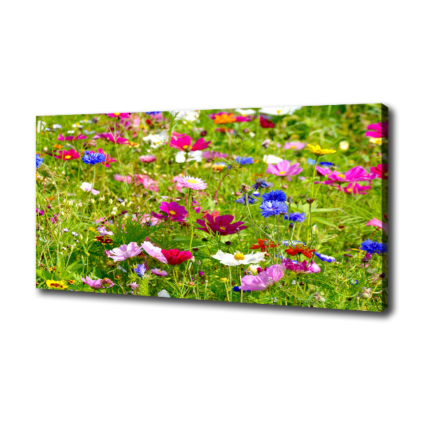 Bild auf leinwand Wildblumen
